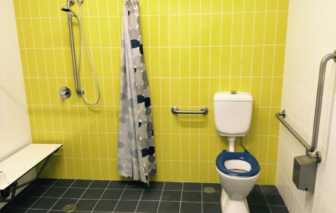 Newcastle Athletics Accessible - web
